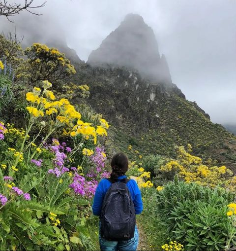 Caminando por un sendero entre flores hacia un risco entre nubes